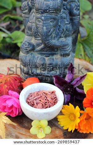 Red Sandalwood chips cut (santali rubri from Gabun) in a stone bowl ritual offering to the indian elephant god ganesha with different fall / autumn flowers and leaves (rose, calendula) in vivid colors