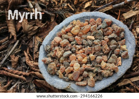 Myrrh tears (myrrhae gummi from kenia) in a stone bowl with a forest soil (bark mulch, leafs) background. Designed for flyers, online shops, with the words \