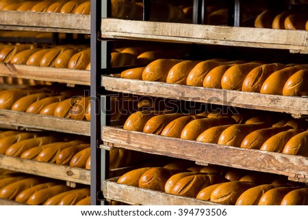 Bread on the shelves. Packaged bread. Many of bread in the hangar. Manufacture of bread. Racks of bread at the bakery.