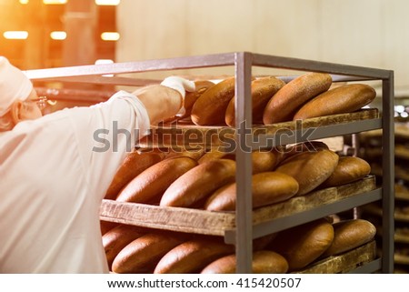 Brown bread on wooden rack. Worker touching bread on rack. Careful work of factory employee. Respect the fruits of labor.