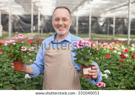I love my job. Experienced senior gardener is standing at greenhouse and smiling. He is holding flowerpots in both his hands. The man is looking at camera happily