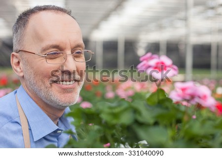 Skillful old gardener loves his job. He is standing in greenhouse and smiling. The man is looking at flowers with enjoyment