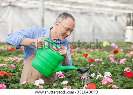 Cheerful senior florist is pouring water on flowers at garden center. He is standing and holding container of water. The man is smiling