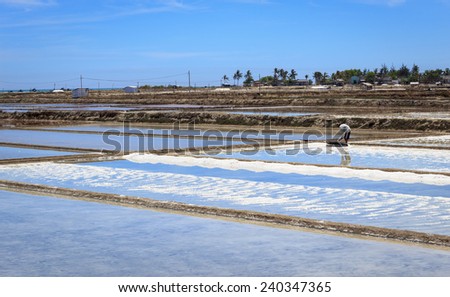 VungTau, Vietnam - March 29th 2014: This farmer is producing salt in the salt field, in VungTau, Vietnam