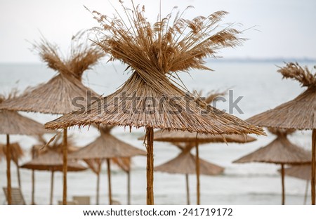 Group of straw umbrellas on the Black Sea in Bulgaria. Shallow depth of field.