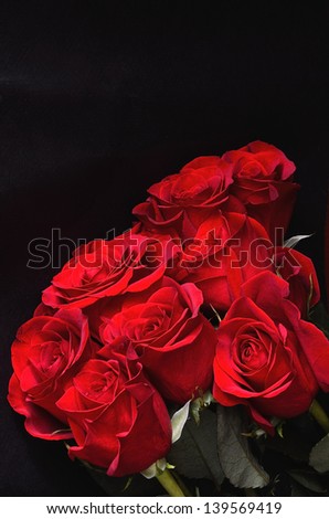 Bunch of red roses/Love Roses/A bouquet of vivd red roses