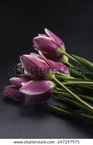 Bouquet of Tulips on black surface/Violet Tulips/Still life of tulips on a black surface
