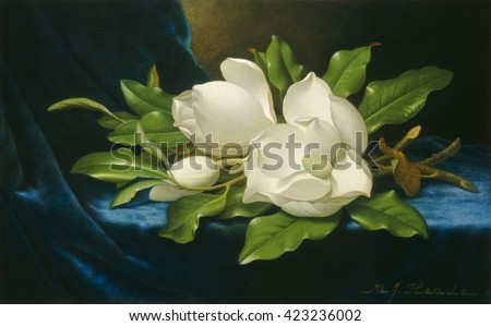 Giant Magnolias on a Blue Velvet Cloth, by Martin Johnson Heade, 1890, American oil painting. Landscape and flower painter Heade moved to Florida in his late career, when he painted this work. Railro