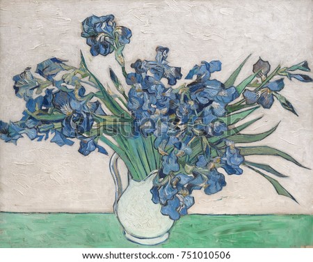 Irises, by Vincent Van Gogh, 1890, Dutch Post-Impressionist, oil on canvas. The paintings original pink background has faded because he used impermanent red pigments