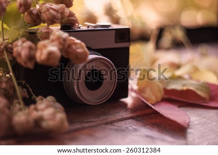 Old camera in the fall foliage and berries
