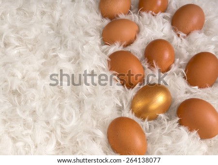 Brown eggs and one golden egg on pile of white feathers