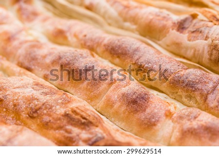 Mediterranean rolled pita, closeup on baked surface, shallow DOF