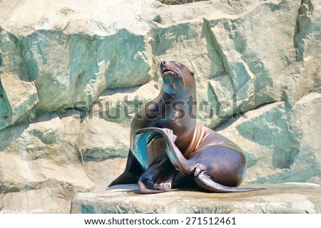 Sea lion on rocks.