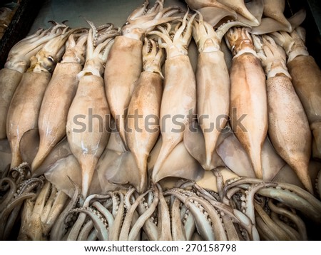Fresh squid on the market/ Fresh squid on the seafood market/ Fresh squid on the market. Outdoor (squid, seafood, food)