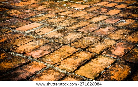 Texture of tile bricks floor. Outdoor view / Close up of Tile bricks floor /Background of tile bricks (tile, bricks, floor)