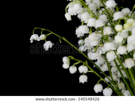 banch of Lily-of-the-Valley flowers
