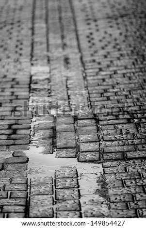 Wet Cobblestone Road During a Rainy Day