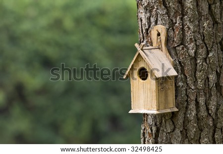 Bird Tree House
