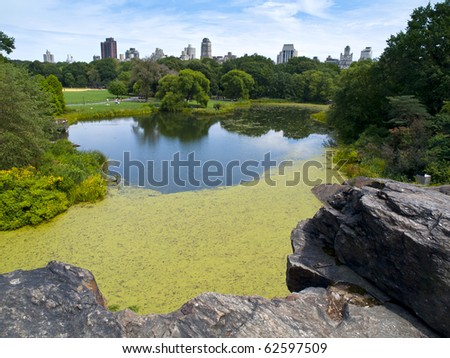 Central Park, a public green space and park in the heart of Manhattan in New York City