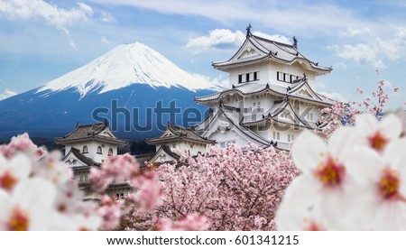 Himeji Castle and full cherry blossom, with Fuji mountain background, Japan