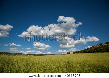 blue sky and green nature