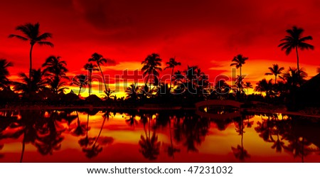 Panorama Orange and red sunset over sea beach with palms Dominican republic
