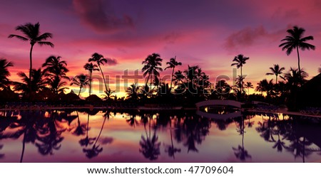 Panorama Blue pink and red sunset over sea beach with palms Dominican republic