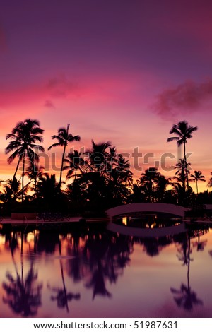 Blue pink and red sunset over sea beach with palms Dominican republic