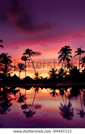 Blue pink and red sunset over sea beach with palms Dominican republic