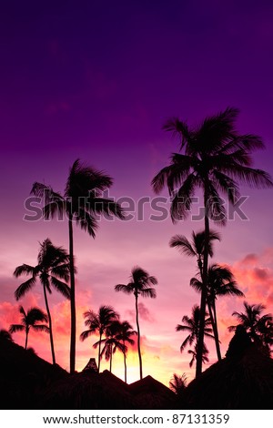 Pink and red sunset over sea beach with palms Dominican republic
