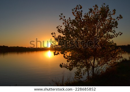 Fall sunset over a lake in Nebraska with a gold tree