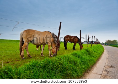 Fence under Electric Current Surrounding the Horse Farm