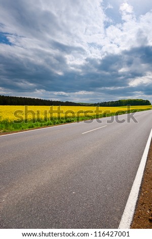 Asphalt Road between Fields of Lucerne in Germany