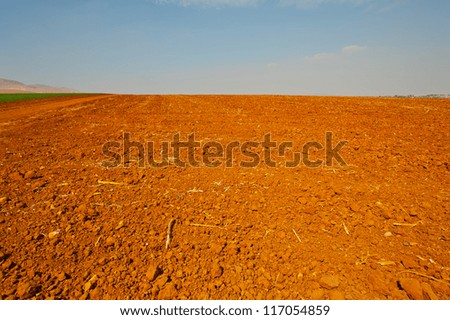 Poor Plowed Soil after the Harvest in Israel