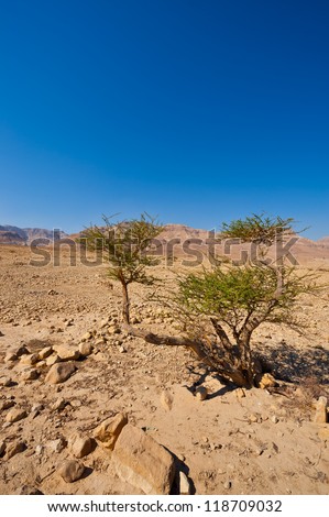Desert on the West Bank of the Jordan River