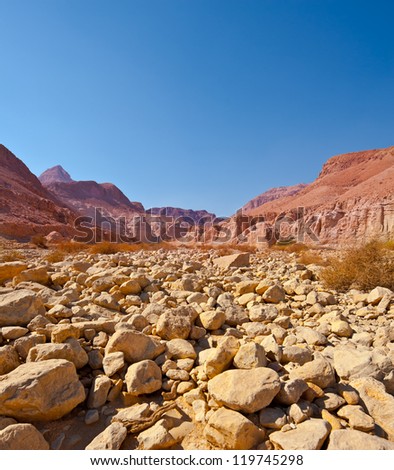 Dry Riverbed in the Judean Desert