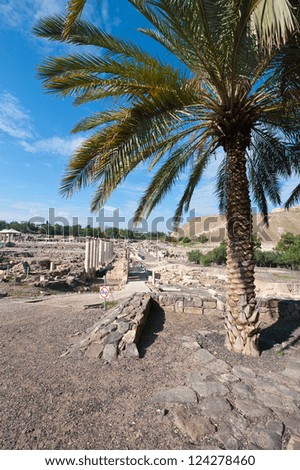 Ruins of Ancient Bet Shean which Collapsed during Earthquake