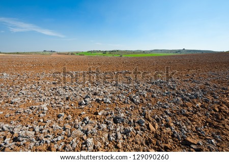 Poor Stony Soil after the Harvest in Israel