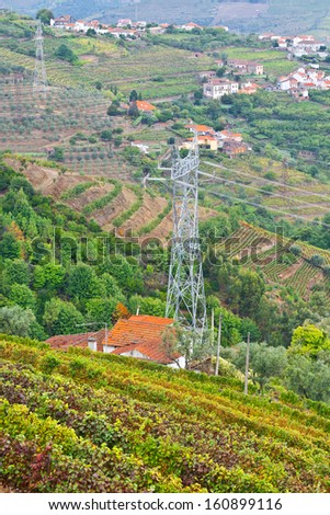 Power Line between the Vineyards on Portugal