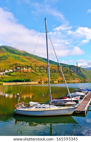 Mooring Line on the River Douro, Portugal