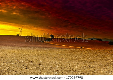 Power Line on the Plowed Field in Spain, Sunset