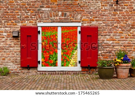 Surreal View of Dutch Tulips through the Window