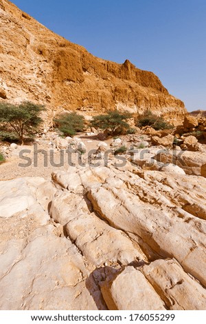 Dry Riverbed in the Judean Desert