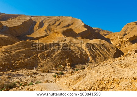 Dry Riverbed in the Negev Desert