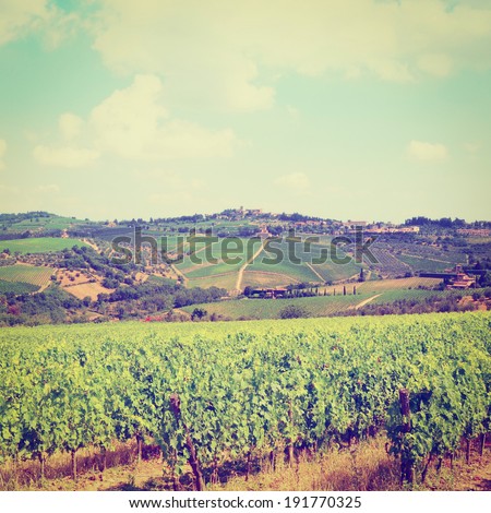Vineyard in the Chianti Region, Instagram Effect