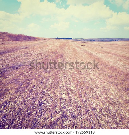 Poor Stony Soil after Harvest in Israel, Instagram Effect
