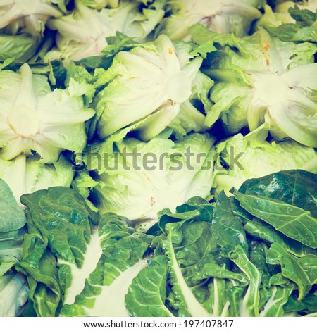 Green Lettuce on Market Stand in Israel, Retro Effect