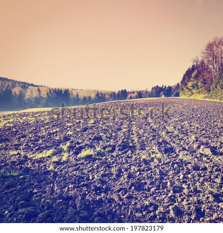 Plowed Fields near the Forest in Swiss Alps, Sunset, Retro Effect