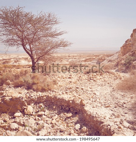 Desert on the West Bank of the Jordan River, Retro Effect