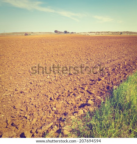 Poor Sandy Soil after the Harvest in Israel, Instagram Effect